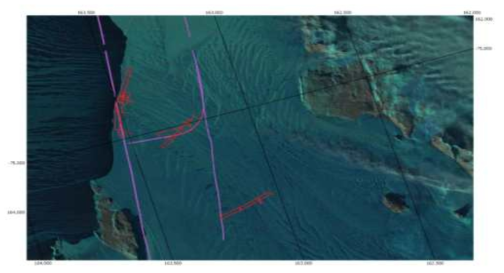난센 빙붕의 육상 GPR 탐사 측선(적색 실선). 보라색 선은 기존 항공레이더 탐사 측선임
