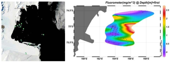 해양 생물과 해양 화학 분석 시료의 채수 정점(좌) 및 CTD로 측정된 표층 fluorescence의 분포(우)