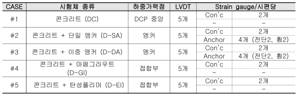 DCP 모형시편의 계측 개요