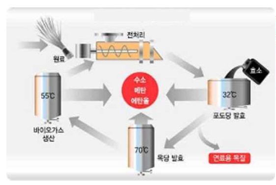 베트남의 볏집, 왕겨를 이용한 바이오에탄올 제조 모델