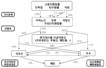 혐기성소화 개념도 (Speece, 2008)