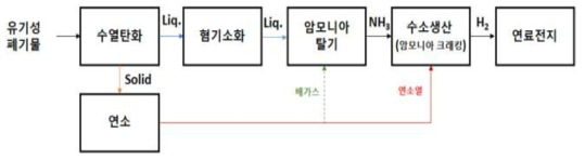 바이오매스(유기성) 및 부생 암모니아 수소생산 공정 개요