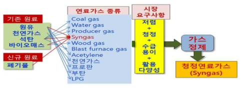 원료별 생산 가능한 연료가스 종류와 시장요구사항을 반영하여 선택한 연료가스