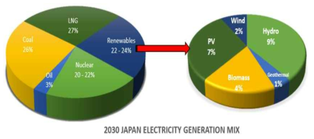 일본의 2030년 전기생산 원료 비중과 재생가능에너지 전기생산원 분포 목표 (출처: Japan’s Biomass Market Overview, by Louis du Plessis, 2015)