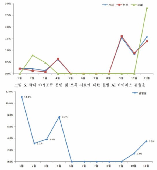 국내 야생조류 포획 시료에 대한 시기별 AI H5 항체 검출율