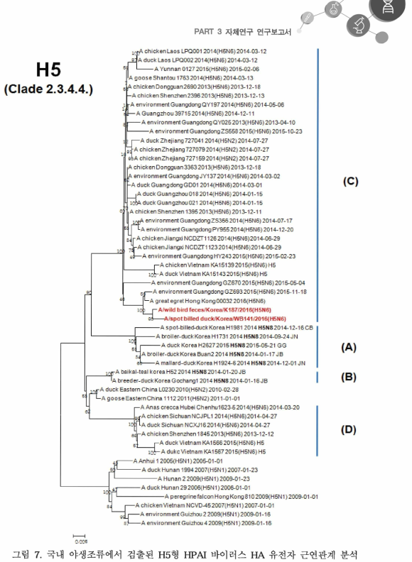 국내 야생조류에서 검출된 H5형 HPAI 바이러스 HA 유전자 근연관계 분석
