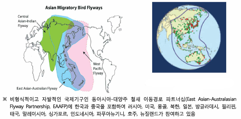 동아시아-대양주 철새이동경로