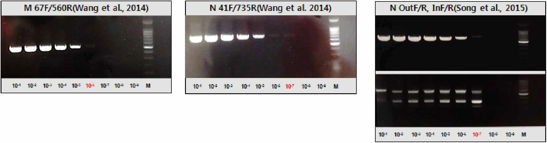 국외 PDCoV 단일 cRT-PCR 및 nested PCR 검출한계