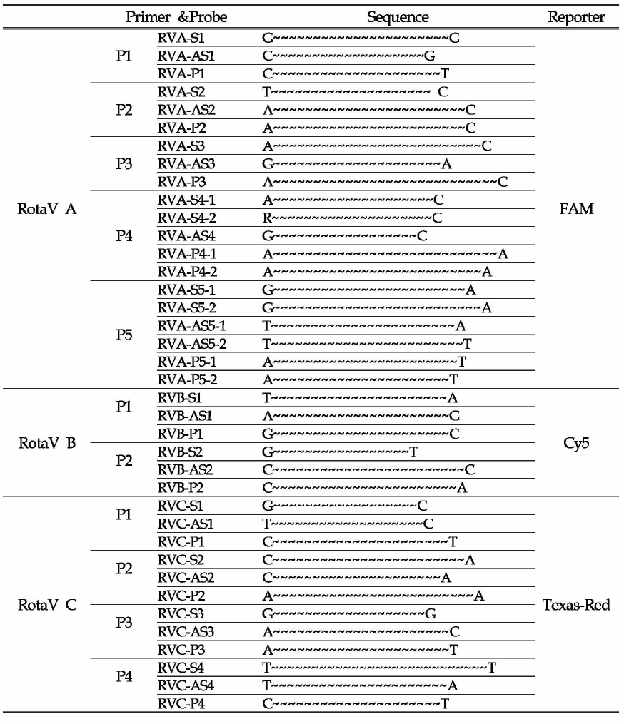 RotaV grouping을 위한 qRT-PCR primer 및 probe