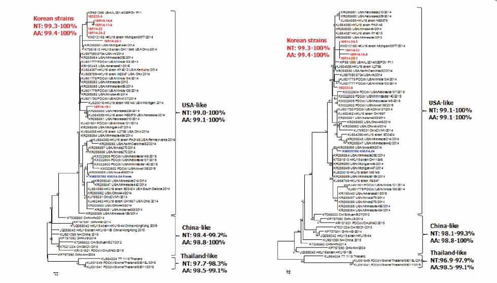 국내·외 PDCoV의 M(좌) 및 N(우) gene 에 대한 phylogenetic analysis