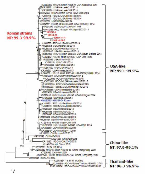 국내 ·외 PDCoV의 structural gene 에 대한 phylogenetic analysis