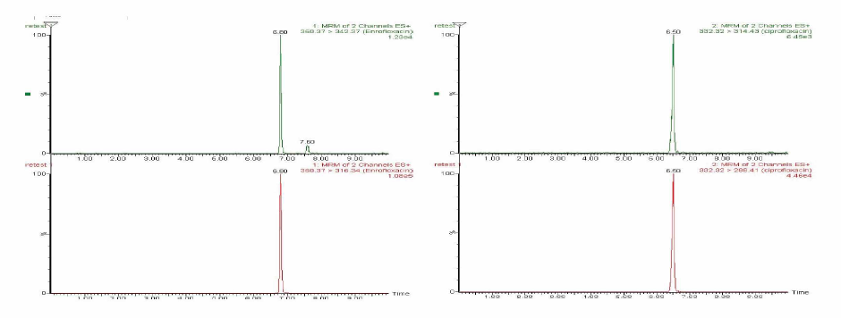 Ion selection and extracted chromatogram of enrofloxacin (left) and ciprofloxacin (right)