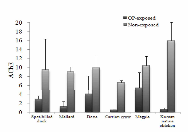 야생조류에서의 농약노출에 따른 AChE 활성도 차이 조사