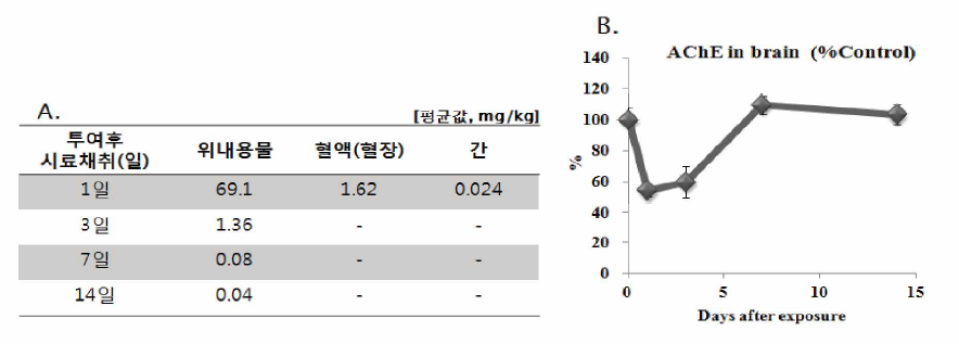 투여 후 시료재취일에 따른 (A)닭의 각 조직에서의 유기인계 농약 검출량 및 (B)뇌에서의 AChE 활성도 변화량