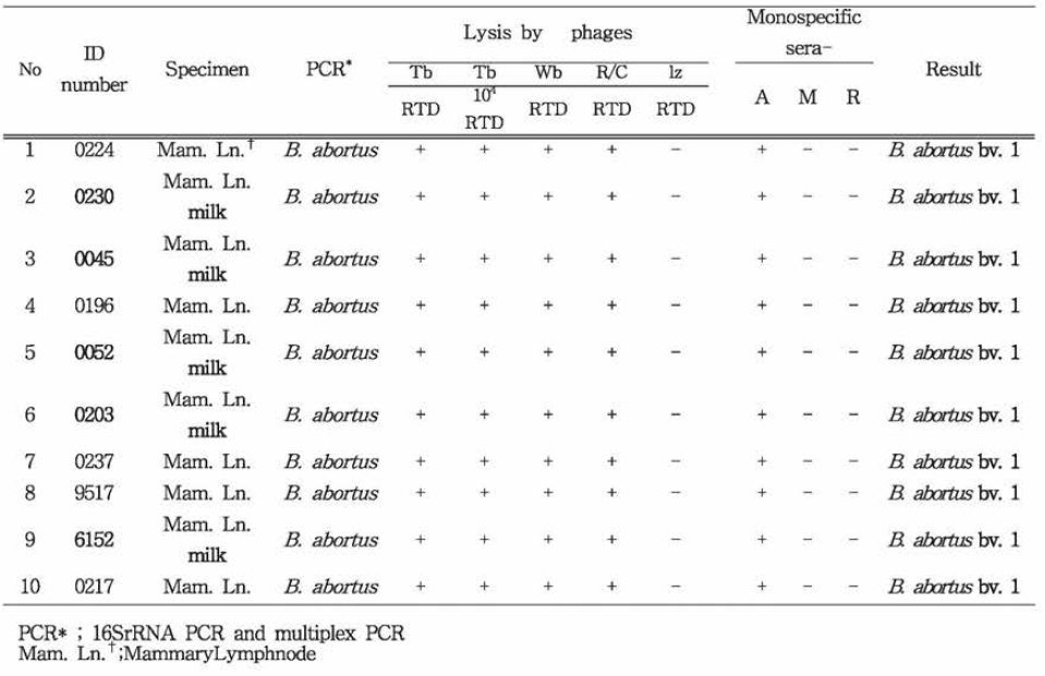 젖소 브루셀라 분리주의 classical biotyping assay 및 PCR 검사를 통한 동정결과 (2015년, 충남 D농장)