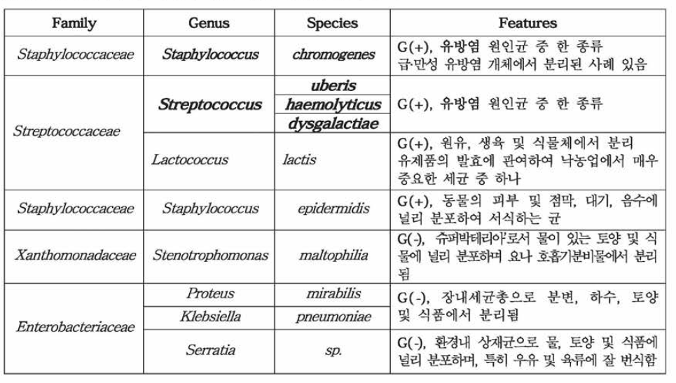 젖소 브루셀라 비특이 반응 유발 원인체 검색 결과