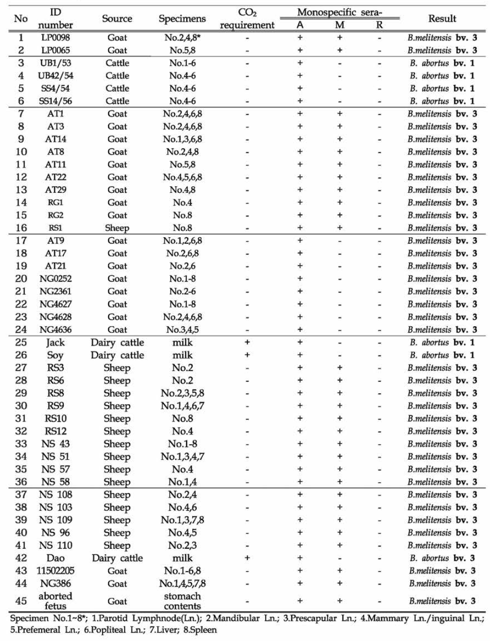 태국 내 동물 유래 분리주 biovars 동정을 위한 classical biotyping assay (태국측, ′13-′16)