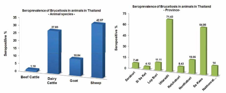태국 8개 지역의 브루셀라 모니터링 혈청검사 결과(태국 측)