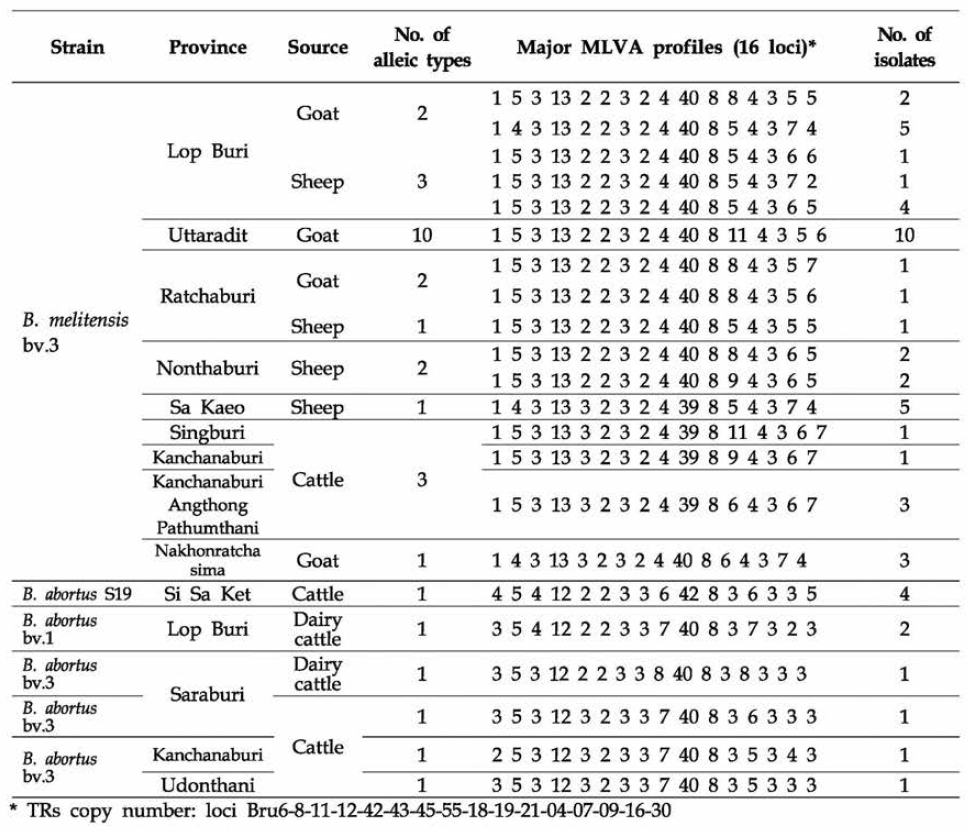 태국 브루셀라 분리주 MLVA patterns 분석 (본부측 , ′14-′16)