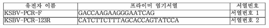 Real-time PCR KSBV Primer set