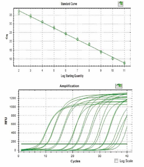 인공감염 실험 시료 내 KSBV 유전자 절대정량을 위한 KSBV 검량선(Standard curve) 제작