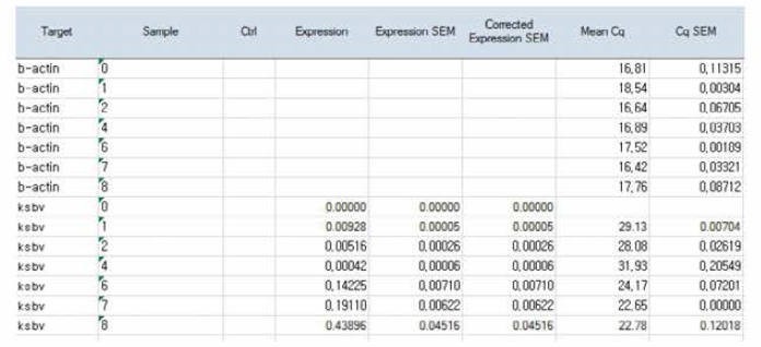 SBV 인공감염실험 Real-time PCR 상대정량(항존 유전자: β-actin) 결과 자료