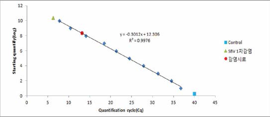 SBV 1차 인공감염 실험 꿀벌유충 내 KSBV 유전자 절대정량 결과 그래프