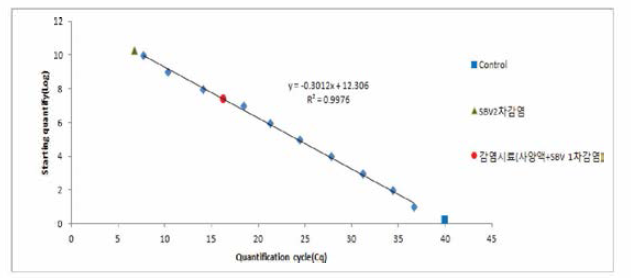 SBV 2차 인공감염 실험 꿀벌유충 내 KSBV 유전자 절대정량 결과 그래프