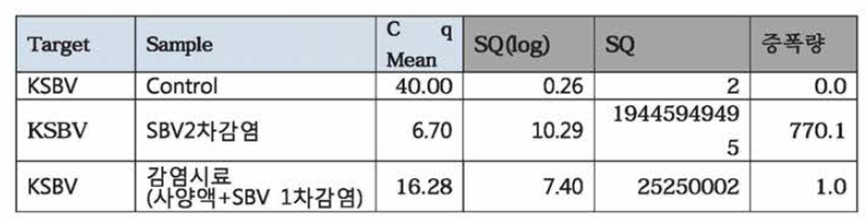 SBV 1차 인공감염 실험 꿀벌유충 내 KSBV 유전자 절대정량 결과 자료