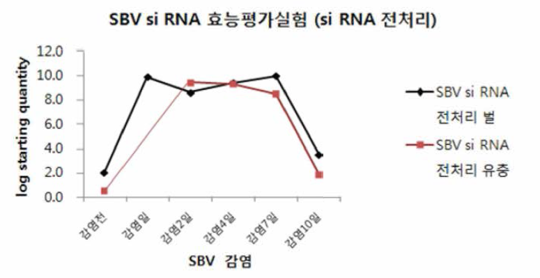 VP1 si RNA를 전처리한 후 SBV를 인공감염시킨 시료 내 SBV DNA 증폭 그래프