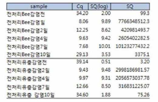 VP1 si RNA를 전처리한 야외 토종벌 SBV 인공감염 시료 내 SBV Real-to PCR 결과 자료