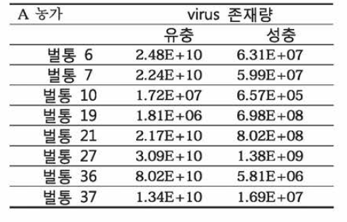 A농가의 바이러스 감염량 확인