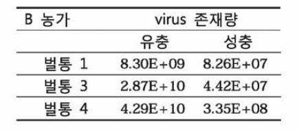 B농가의 바이러스 감염량 확인