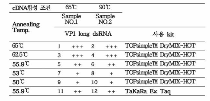 cDNA합성조건 및 PCR 결과 분석표