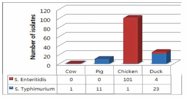 축종별 살모넬라 혈청형 분석. 닭에서는 S. Enteritidis(n=101)가 많이 분리 되었고 오리와 돼지에서 S. Typhimurium(n=34)이 많이 분리되었음