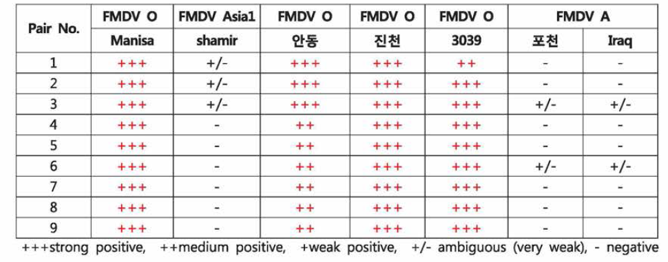FMDV O specific pair (총 9종)의 FMDV serotype 별 교차반응성