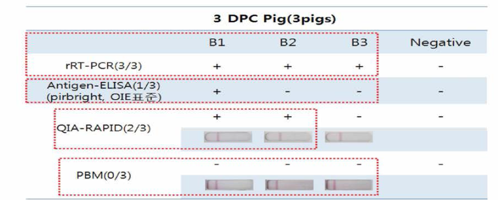 구제역바이러스로 공격 접종된 3마리 돼지 타액을 이용해 기존의 항원 진단법 및 Rapid kit(QIA, PBM) 으로 구제역 항원 검출결과비교