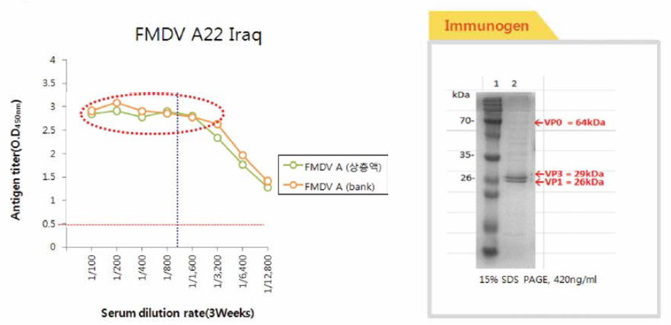 Comparison of titer produced mAb (Serotype A) using different immunogen 및