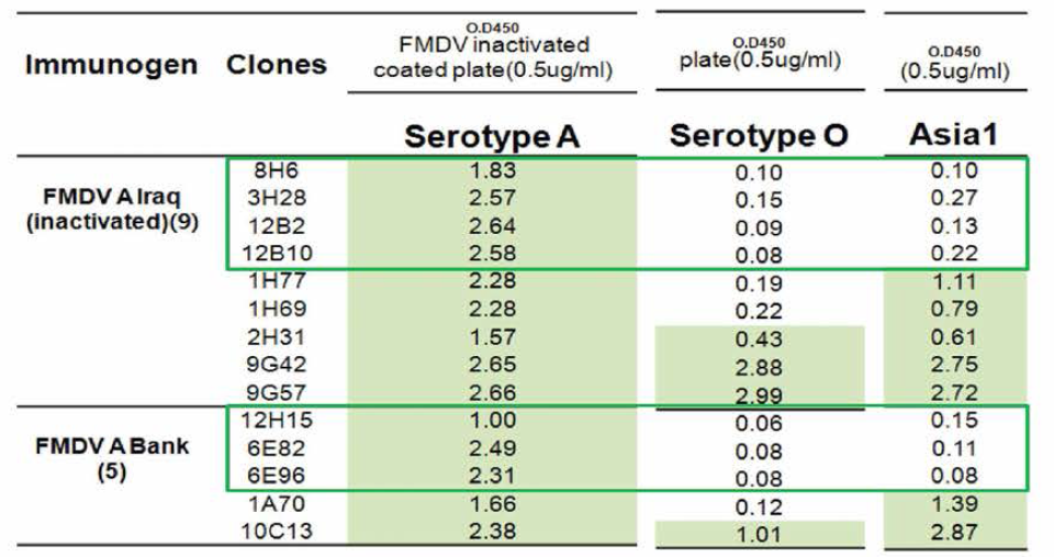 Specificity against Serotype A using culture supernatant containing FMDV 0,Asia 1