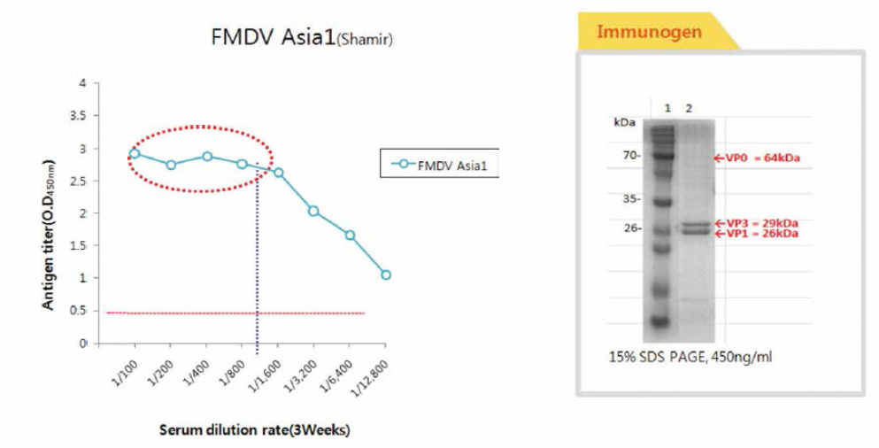 Comparison of titer produced mAb (Serotype Asia1) using different immunogen