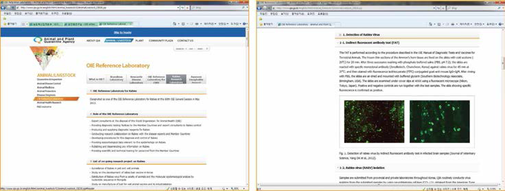 농림축산검역본부 홈페이지 내 광견병OIE표준실험실 영문사이 트
