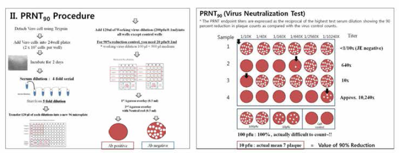 일본뇌염 바이러스 중화시험법 PRNT (plaque reduction test) 확립