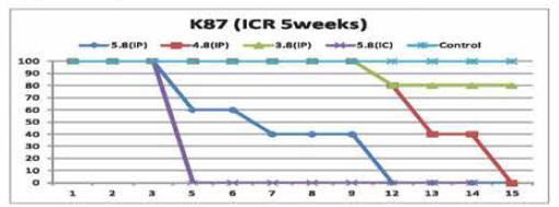 공격접종용 바이러스(K87)의 역가별 투여군의 생존율 그래프