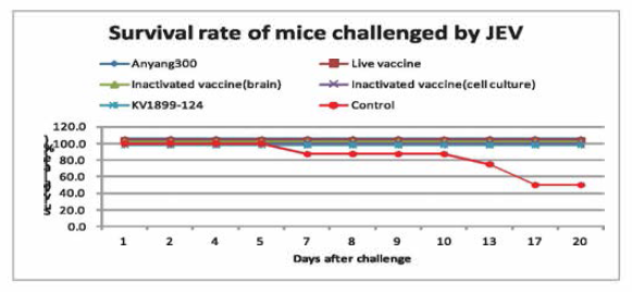 일본뇌염 백신그룹별 공격접종 후 생존율 그래프