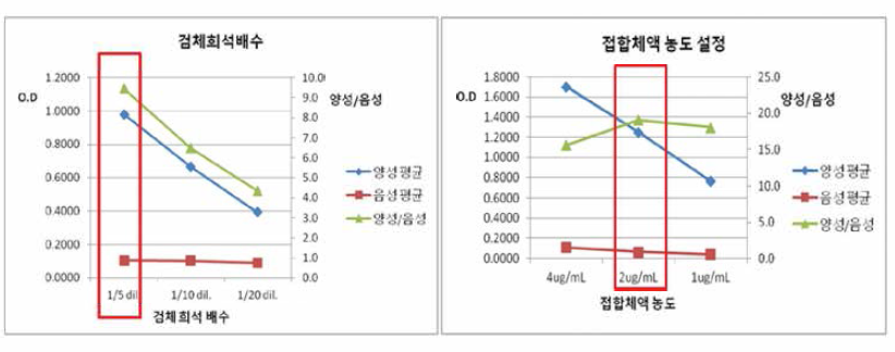 혈청의 희석배수 결정 및 접합체의 희석농도 결정