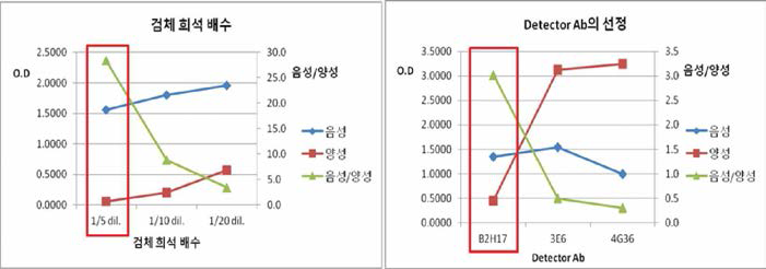 blocking ELISA의 혈청 희석배수 결정 및 검출항체의 선발