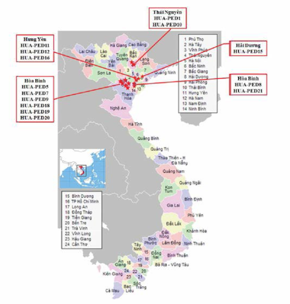 베트남 PED 감염 돼지 가검시료 분리 지역 지도