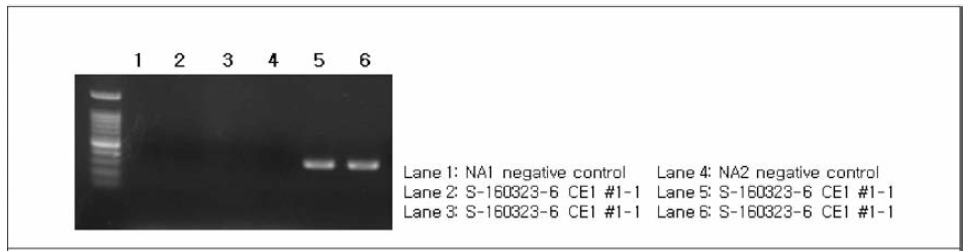 S-160323-6(CE1) NA 유전자 typing 결과, NA2 확인