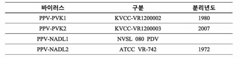 표준 돼지파보바이러스