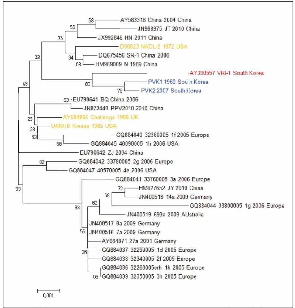 국내분리주 VRI-I의 VP2 유전자염기서열 비교 결과 - 기존에 보고된 30개 파보바이러스의 VP2 유전자 1,736bp 분석, (MEGA6.0 Neighbor joining methods, TN93+G, bootstrap value: 1,000)